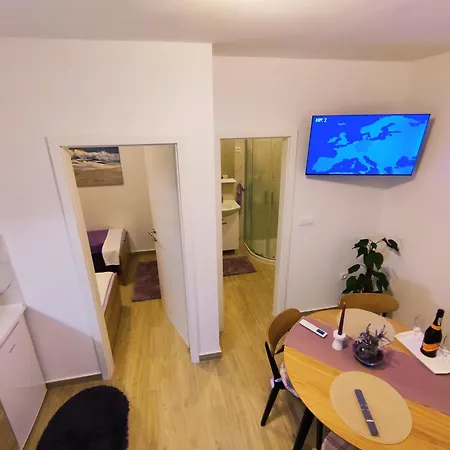 Apartament Oasis *